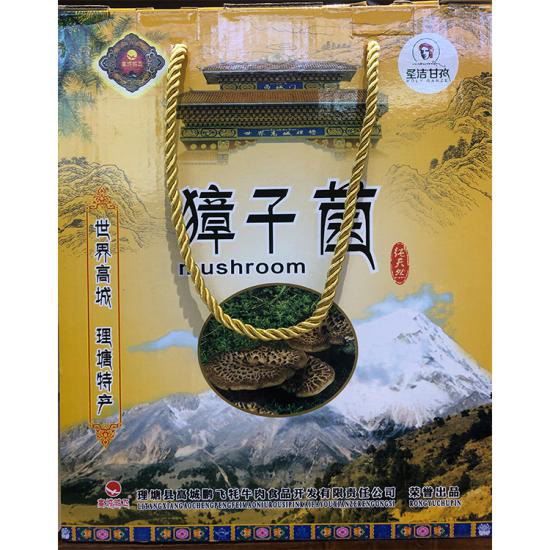 图片9.jpg 图片9.jpg